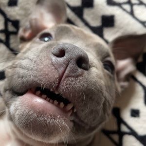 Meet your Posher, Alexis